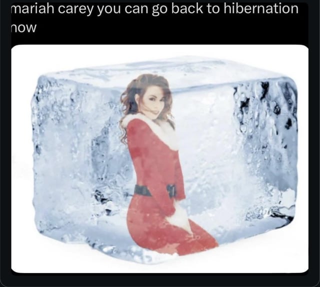The image features Mariah Carey dressed in a red Santa Claus outfit, positioned inside a large, transparent block of ice. Above the ice block, there is a text overlay that reads: 'mariah carey you can go back to hibernation now'. The meme humorously references Mariah Carey's strong association with Christmas, particularly her hit song 'All I Want for Christmas Is You', which resurfaces annually during the holiday season. The 'hibernation' metaphor suggests that with Christmas over, it is time for Carey to 'retreat' until the next holiday season, playfully exaggerating her seasonal ubiquity.