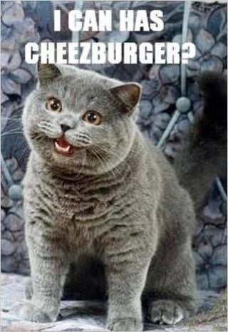 A classic meme featuring a gray cat with an eager, curious expression sitting and looking upward. Above the cat is the text 'I CAN HAS CHEEZBURGER?' in bold white letters. The image is a iconic example of early 2000s 'lolcat' memes, which used photos of cats with captions written in broken English to create humor. The cat's slightly open mouth and upward gaze enhance the playful, pleading tone of the text.