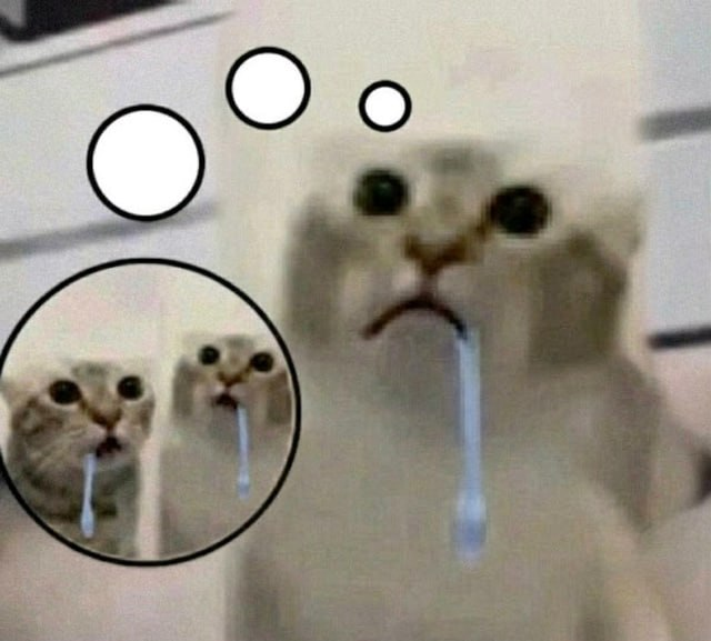 This is an edited viral cat meme featuring a pale, wide-eyed cat as the main subject. The central cat has a blank, dazed, slightly shocked expression with a long clear snot stream dripping from its nose, next to three empty thought bubbles indicating it is confused, spaced out, or thinking of nothing. A circular zoomed inset on the left side shows two identical copies of the same snotty cat, both staring forward with the same expression, amplifying the disoriented, unwell, or absurd vibe of the meme. The background is a blurry, plain light-colored indoor wall, and the image is low resolution typical of widely shared reaction memes.
