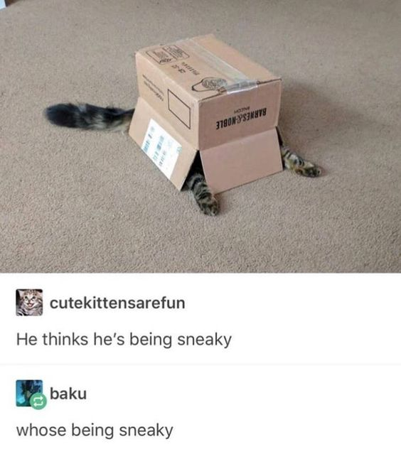 The image is a screenshot of an X (formerly Twitter) post. The top portion shows a tabby cat attempting to hide inside a Barnes & Noble cardboard box placed on a light beige carpet. The cat's tail, two front paws, and one back paw are all visibly sticking out from under the box, making it obvious the cat is not hidden at all. Below the photo, two comments are visible: the first from user 'cutekittensarefun' reads 'He thinks he's being sneaky', referencing the cat's failed hiding attempt. The second reply from user 'baku' reads 'whose being sneaky', using a purposeful homophone typo (confusing 'who's' / 'who is' and the possessive 'whose') to make a silly deadpan pun joke.