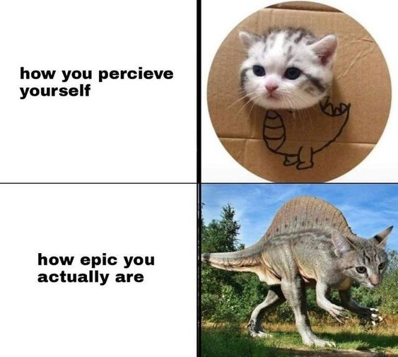 This is a 2-panel relatable wholesome meme. The top left side has text reading 'how you percieve yourself' (with a common typo of the word 'perceive') paired with an image of a tiny cute kitten's head sticking out of a circular hole in a cardboard box, where a simple, crudely drawn small dinosaur body is marked on the box under the kitten's head, representing the modest, silly way people see themselves. The bottom left side has text reading 'how epic you actually are' paired with a photoshopped image of a tabby cat's head attached to a large, realistic Dimetrodon dinosaur body walking confidently through an outdoor grassy, wooded area under a clear blue sky, representing that people are far more impressive and awesome than they give themselves credit for.