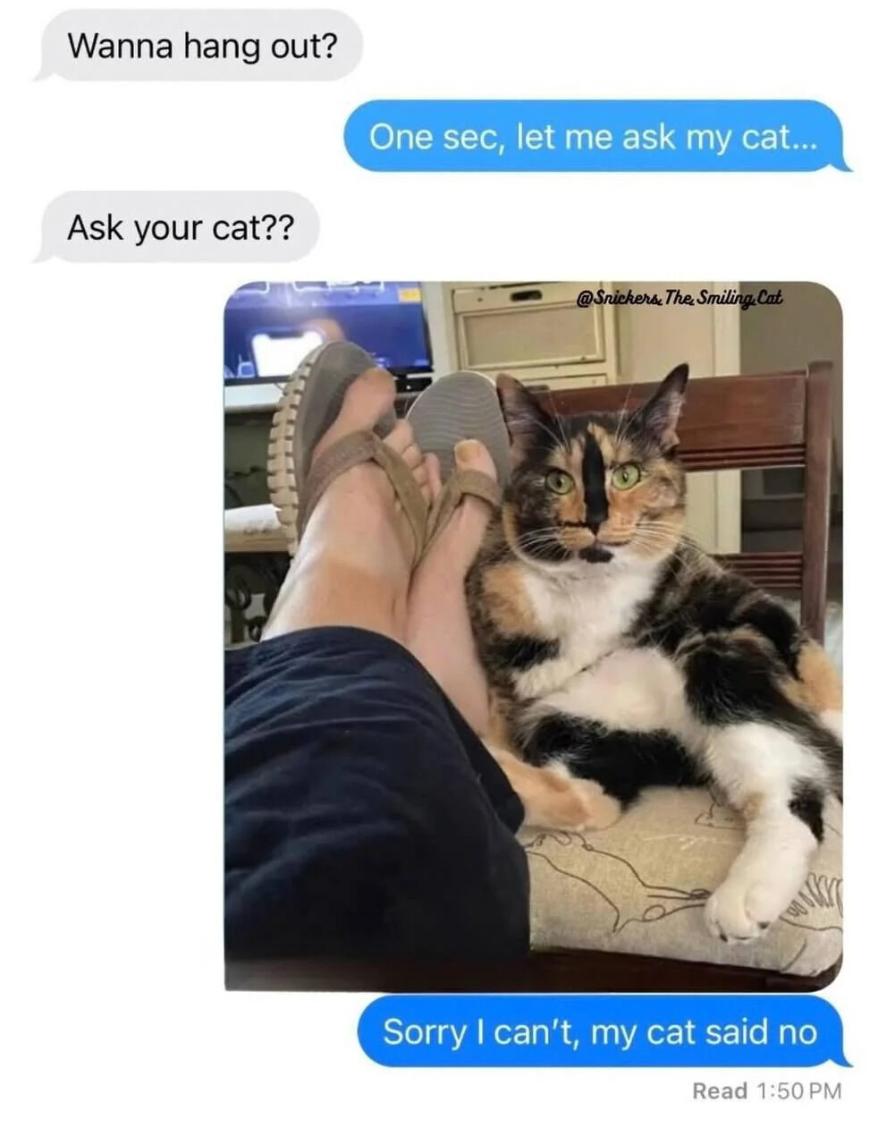 A wholesome meme consisting of two main parts: a fictional chat conversation at the top and a photograph at the bottom. The chat begins with a friend asking, 'Wanna hang out?' The user responds, 'One sec, let me ask my cat...' prompting the friend to question, 'Ask your cat??' The final chat message reads, 'Sorry I can't, my cat said no.' Below the chat is a photograph of a calico cat with distinct black and orange facial markings, lying relaxed on a chair next to a person's feet wearing sandals. The cat has green eyes and appears calm. The top right corner of the cat photo features the watermark '@Snickers.The.Smiling.Cat'.