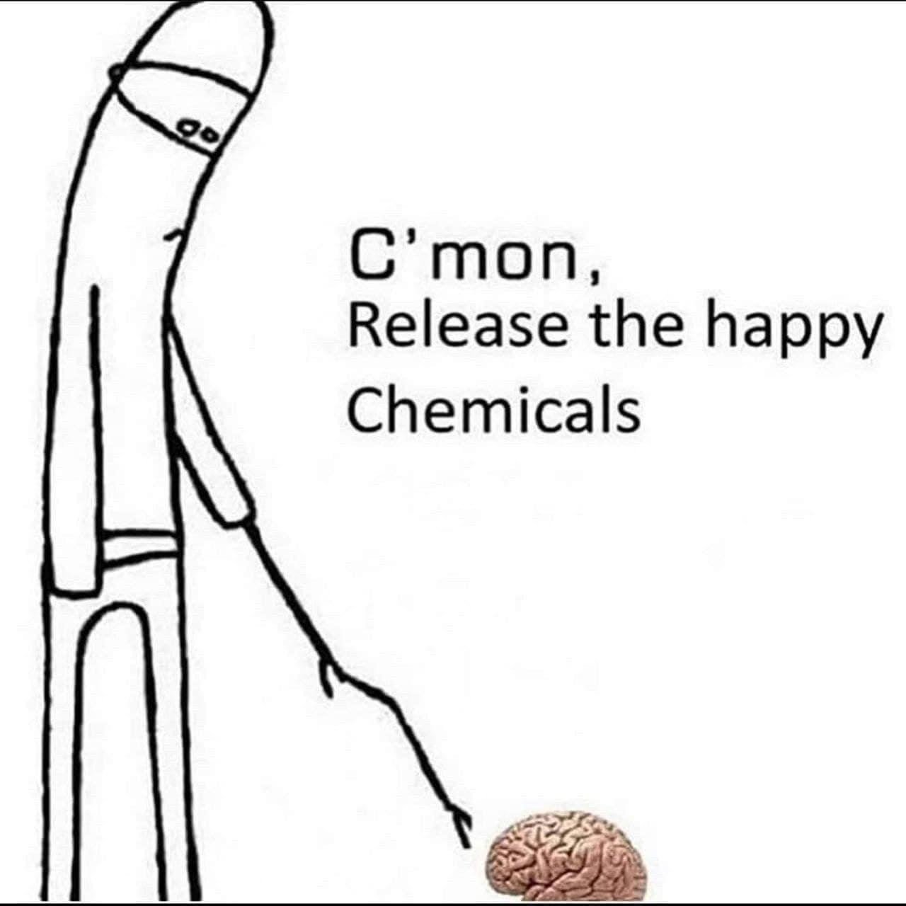 This is a single panel meme featuring a crude, lanky, slouching stick figure with half-lidded, weary eyes leaning down toward a small realistic illustration of a human brain placed at the bottom right of the frame. The text placed to the right of the stick figure reads "C'mon, Release the happy Chemicals". The joke is relatable to people experiencing low mood, burnout, or depression, depicting the experience of wanting to feel happy but being unable to, as if you have to beg your own brain to produce the neurochemicals responsible for positive feelings.