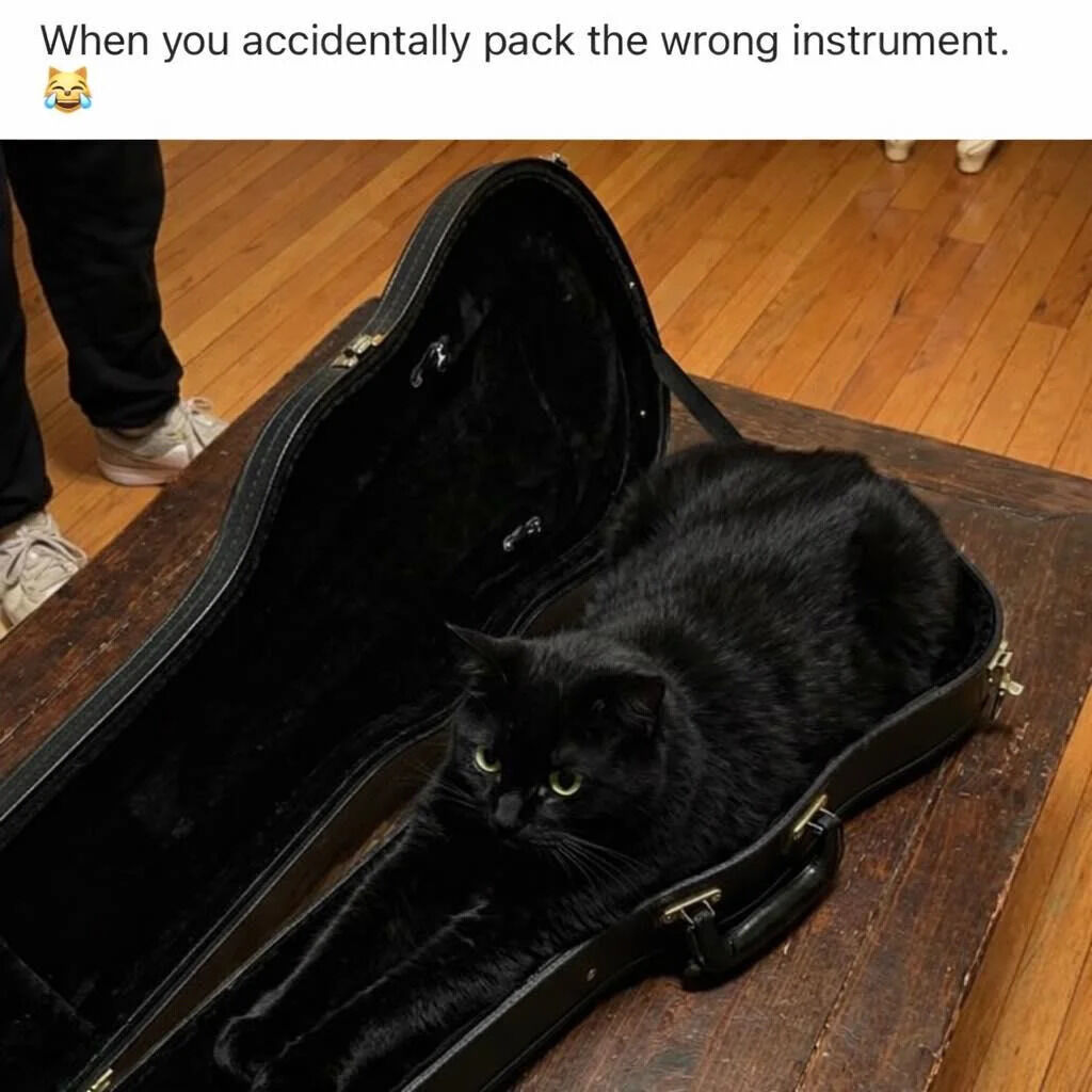 This meme features a candid photograph paired with a relatable funny caption. An open black hardshell guitar case sits on a worn dark wooden table placed on light brown hardwood flooring. A fluffy black cat lies comfortably inside the lower portion of the guitar case, with its front legs stretched out and its green eyes calmly looking off to the side. Part of a person wearing black pants and white sneakers is visible in the top left corner of the frame. The text at the top reads "When you accidentally pack the wrong instrument." next to a laughing crying cat emoji. The joke plays on the common cat behavior of sitting in any small open container, framing the cat as the incorrect item mistakenly packed into the case intended for a guitar.