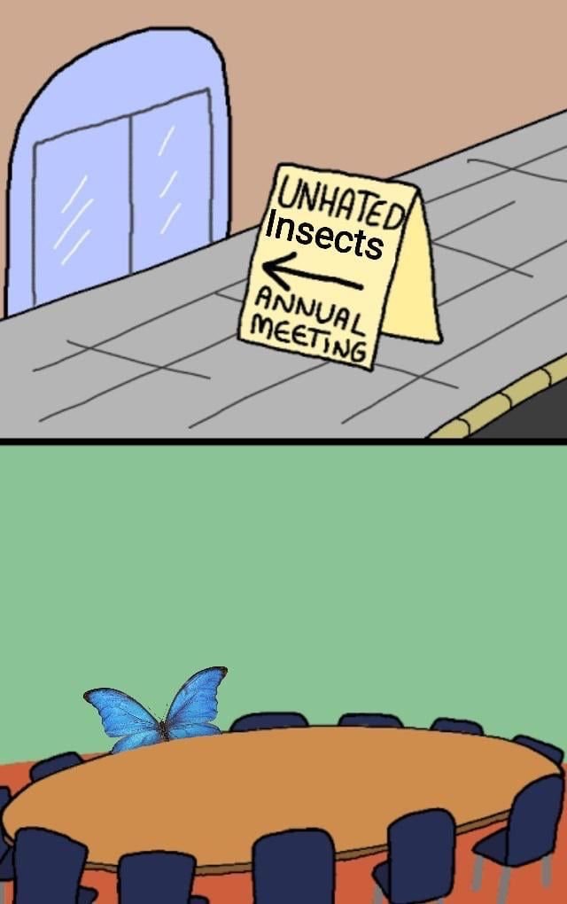 This is a two-panel humorous comic meme. The top panel depicts a sidewalk next to a building with an arched window, where a folded paper sign reads "UNHATED Insects ANNUAL MEETING" with a left-pointing arrow. The bottom panel shows a large empty conference room with a round table surrounded by many empty chairs, with only a single blue butterfly sitting at the table as the only person in attendance. The joke is based on the common observation that nearly all insect species are widely disliked by humans, with butterflies being one of the very few exceptions that are generally viewed positively and not hated, making it the only insect to show up to the meeting.