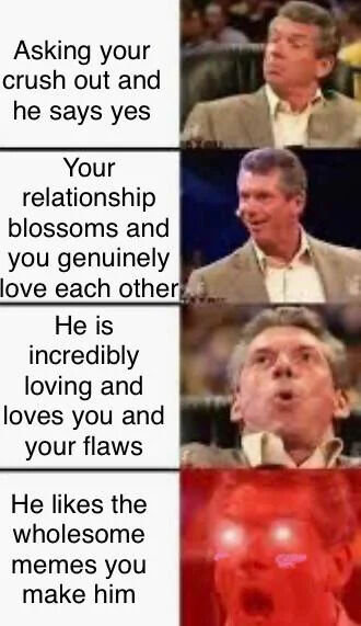 This is a 4-panel reaction meme using clips of WWE executive Vince McMahon. The left side of each panel describes ascending positive romantic relationship milestones, while the right side shows Vince's reaction growing in intensity with each step: 1. First panel: text reads "Asking your crush out and he says yes", paired with a calm, slightly impressed look from Vince. 2. Second panel: text reads "Your relationship blossoms and you genuinely love each other", paired with a happy smiling expression from Vince. 3. Third panel: text reads "He is incredibly loving and loves you and your flaws", paired with a shocked, overjoyed wide-eyed expression. 4. Fourth panel: text reads "He likes the wholesome memes you make him", paired with an exaggerated shot of Vince's face glowing bright red to show extreme, overwhelming excitement. The joke frames a partner enjoying your homemade wholesome memes as the ultimate, most exciting relationship win above all other positive milestones.