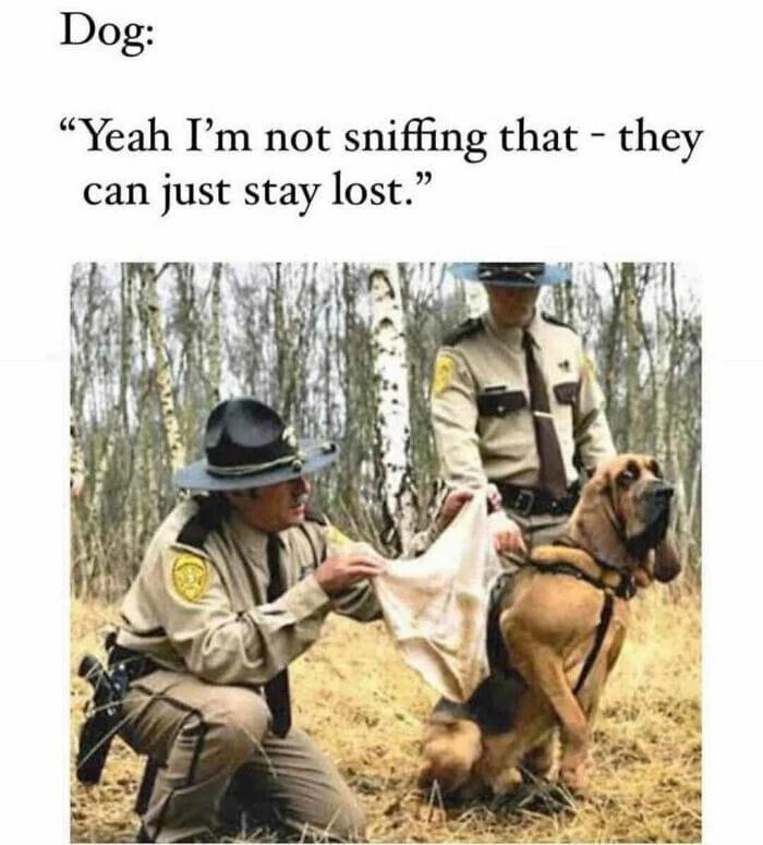 This meme features a real bloodhound (a breed famous for scent-tracking in search and rescue operations) sitting with two uniformed law enforcement officers in a wooded area. One officer holds up a piece of cloth, presumably to let the dog sniff it to locate a missing person, but the dog has an uninterested, disdainful expression and turns its head away. The humorous caption from the dog's perspective reads: *"Yeah I'm not sniffing that - they can just stay lost."* The joke subverts the expectation of a bloodhound's natural tracking instinct, framing the dog as stubborn or unmotivated in a silly, relatable way.