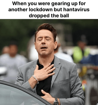 This is a reaction meme using a well-known photo of Robert Downey Jr. looking visibly relieved. The text over the top reads 'When you were gearing up for another lockdown but hantavirus dropped the ball'. The joke references the period shortly after the start of the COVID-19 pandemic, when reports of hantavirus cases sparked public fear that another global pandemic and associated lockdowns would occur. When hantavirus did not spread widely to cause a global outbreak, many people felt a strong sense of relief, which is expressed by the image and text, aligning with the core sentiment of wanting a long gap between major pandemics.