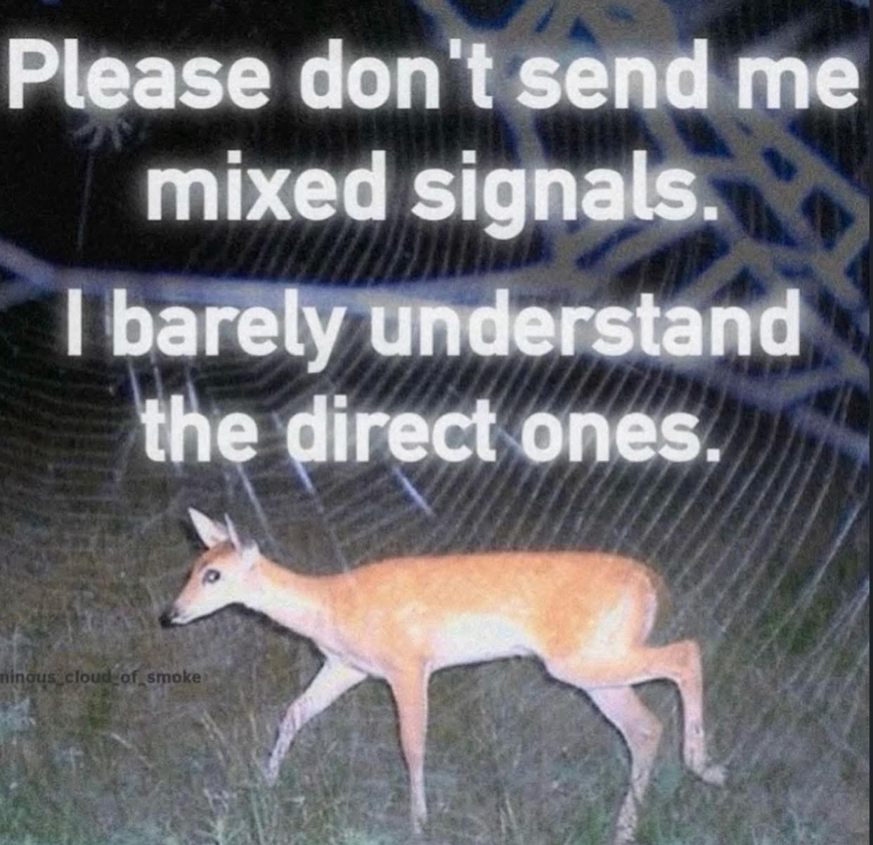 This is a relatable reaction meme featuring a low-light trail camera photo of a deer walking through grass at night with a bewildered expression. Glowing white text is overlaid on the upper part of the image, reading 'Please don't send me mixed signals. I barely understand the direct ones.' The joke makes a humorous self-deprecating point about the common experience of struggling to interpret even clear, straightforward communication, and the confused-looking deer amplifies the comedic effect of the quip about being bad at picking up social cues.