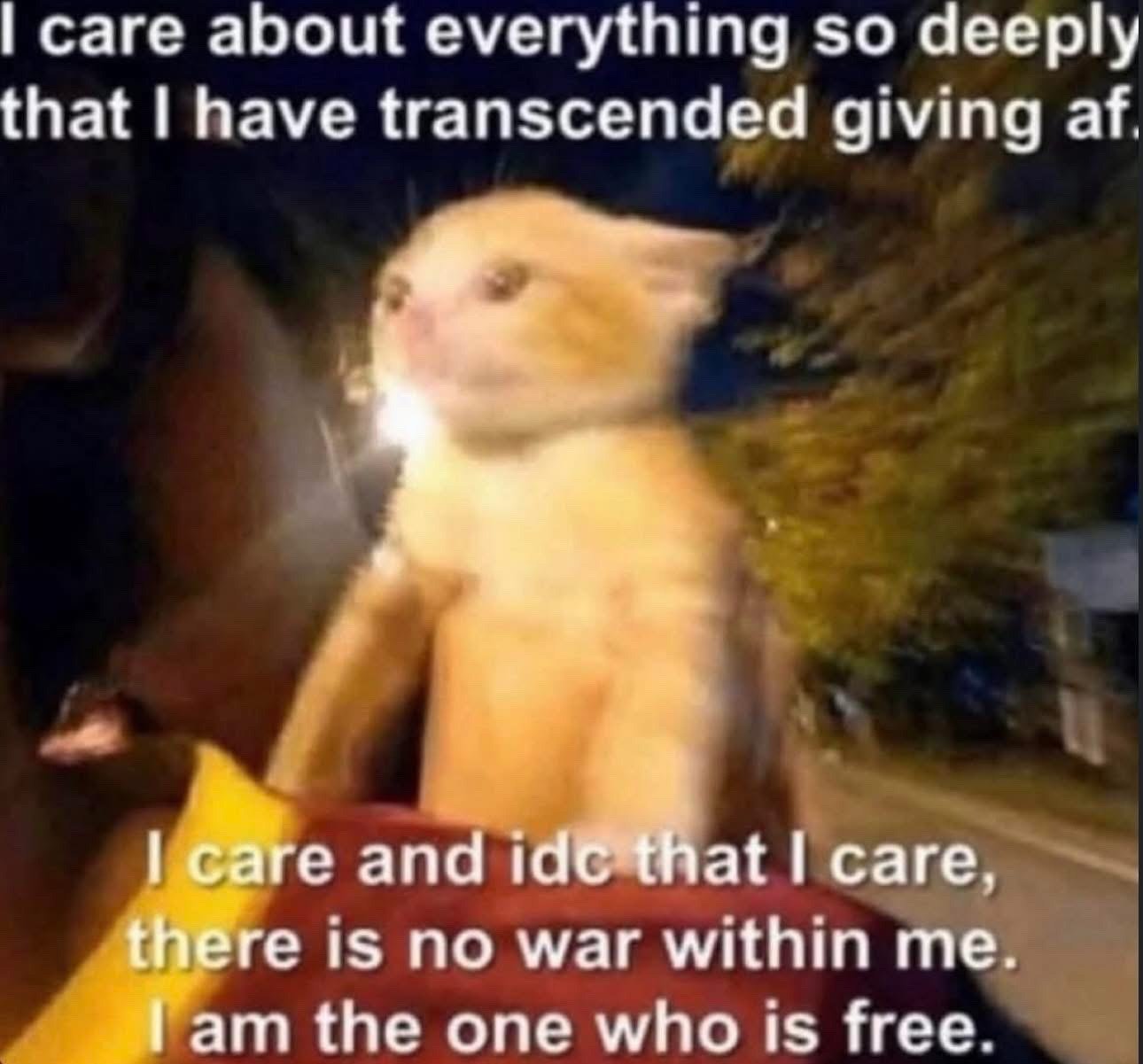 The image features a heavily blurred light orange tabby cat sitting upright, appearing to ride in a moving vehicle at night with trees and a roadside visible in the out-of-focus background. Text is overlaid at the top and bottom of the image. The top text states 'I care about everything so deeply that I have transcended giving af.' The bottom text continues: 'I care and idc that I care, there is no war within me. I am the one who is free.' The meme delivers a humorous, paradoxically zen take on overcaring, framing extreme empathy as reaching a state of unflappable, unbothered calm that matches the cat's serene, zoned-out expression as it is buffeted by wind.