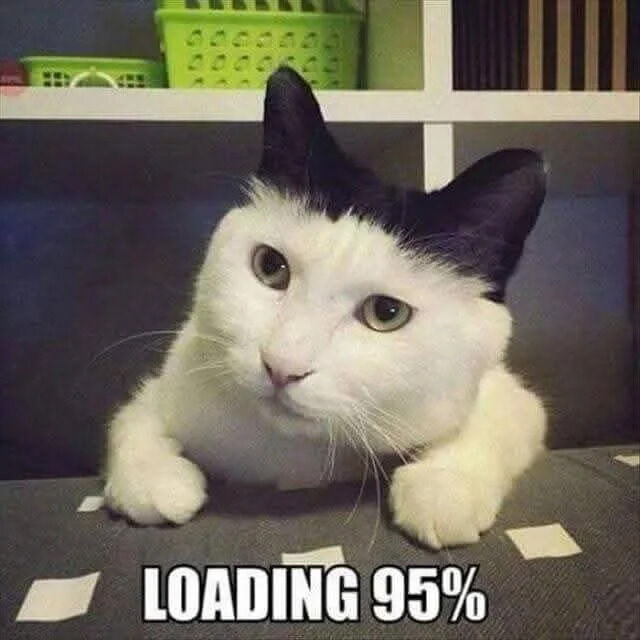 This is a single-panel reaction meme featuring a real black and white domestic cat with solid black ears and mostly white fur. The cat is leaning over the edge of a grey fabric surface printed with small light square patterns, resting its two front paws on the surface, and looking directly at the viewer with a blank, slightly dazed, unfocused expression. Bold white text with a black outline at the bottom of the image reads 'LOADING 95%'. The background features a white cubby shelf unit holding bright green plastic storage baskets on the upper shelf. The humor comes from comparing the cat's slow, seemingly processing expression to the common frustrating experience of waiting for a digital device or download to finish the final 5% of a loading process, which often takes disproportionately longer than the rest of the progress. It is also used to joke about having a slow thought process or taking a long time to understand a concept.