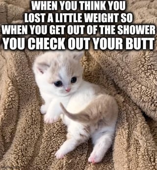 A meme featuring a cute white and light brown kitten lying on a soft brown blanket. The kitten appears to be looking at its own butt, with a curious and innocent expression. Above the kitten, there is bold white text that reads: 'WHEN YOU THINK YOU LOST A LITTLE WEIGHT SO WHEN YOU GET OUT OF THE SHOWER YOU CHECK OUT YOUR BUTT'. The humor comes from anthropomorphizing the kitten's action to mimic a human habit of checking their body after thinking they've lost weight, creating a relatable and wholesome funny moment.