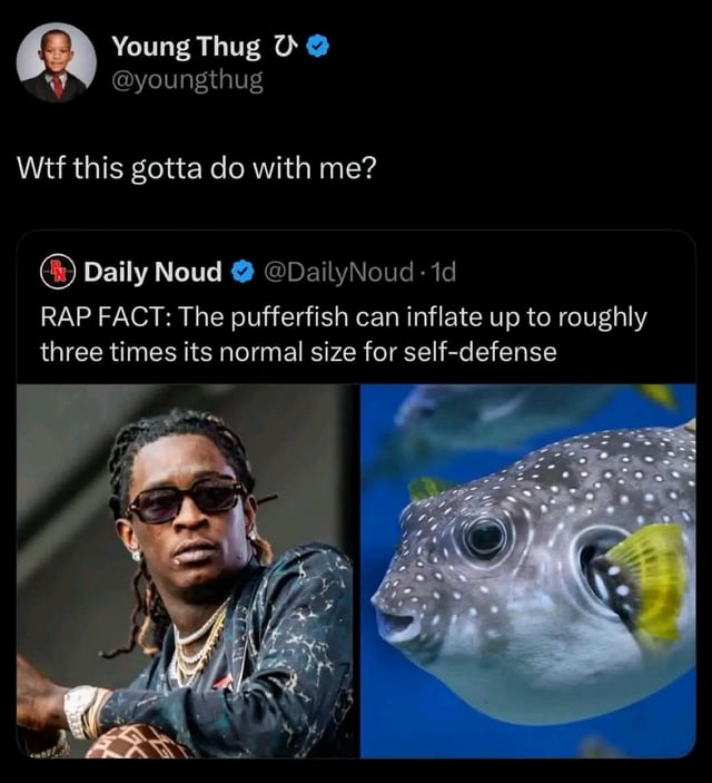 A screenshot of a Twitter/X conversation between Daily Noud and Young Thug. Daily Noud posts a 'RAP FACT' stating pufferfish can inflate three times their size. Below, Young Thug replies with 'Wtf this gotta do with me?' The image includes a split view: left side shows Young Thug with braids, sunglasses, and jewelry; right side shows a pufferfish, implying a humorous comparison between Young Thug and the pufferfish, likely referencing his appearance or public persona.