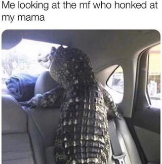 This meme features a photograph of a young alligator positioned in the back seat of a car, leaning forward over the front passenger seat and staring intently out of the front windscreen. The text overlay at the top of the image reads 'Me looking at the mf who honked at my mama', creating a humorous comparison between the seemingly aggressive, alert alligator and a person who is ready to confront someone who disrespected their mother on the road.