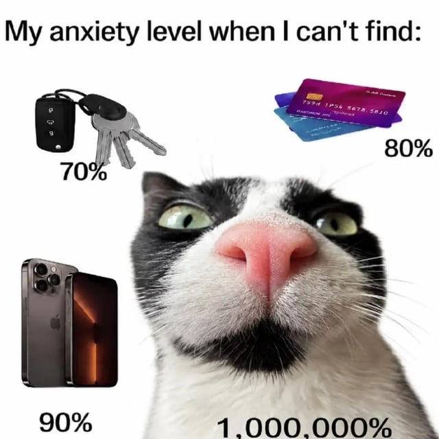 This is a relatable humorous meme visualizing the comparative level of anxiety a person feels when losing different items. The top of the image displays the text 'My anxiety level when I can't find:'. Four items are listed below with corresponding anxiety percentages: a set of car keys paired with 70% anxiety, credit and bank cards paired with 80% anxiety, an iPhone paired with 90% anxiety, and an extreme close-up of a wide-eyed, panicked-looking tuxedo cat paired with a massive 1,000,000% anxiety rating. The joke highlights that losing a pet cat causes exponentially more distress than losing any valuable material possession, playing on the common experience of cat owners who know cats often wander off and are not found in the last place they were left, unlike inanimate objects.