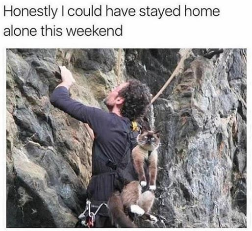 This is a humorous meme featuring text at the top that reads 'Honestly I could have stayed home alone this weekend', paired with a photograph of a man rock climbing a rocky cliff face. A grumpy-looking Siamese cat is strapped to the man's back, appearing unamused and annoyed, with the caption framed as the cat's inner thought about regretting joining the rock climbing trip instead of staying home alone. The cat's displeased expression perfectly matches the sentiment of the caption, making the meme relatable and funny.