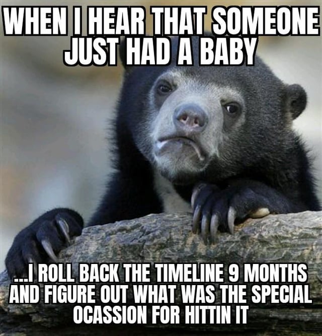 This meme uses a photograph of a sun bear with a leering, suggestive expression, resting its front paws on a rock. The top text reads **WHEN I HEAR THAT SOMEONE JUST HAD A BABY**, and the bottom text contains a crude, humorous punchline: **...I ROLL BACK THE TIMELINE 9 MONTHS AND FIGURE OUT WHAT WAS THE SPECIAL OCASSION [sic] FOR HITTIN IT**. The joke plays on the 9-month human gestation period, implying a sarcastic, leering curiosity about the sexual encounter that resulted in the baby, with a typo in the word 'OCCASION' (written as 'OCASSION'). The bear's expression amplifies the crude, playful tone of the joke.