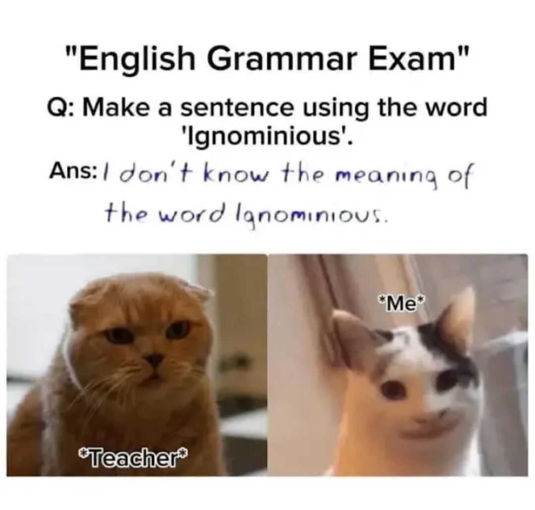 This is a two-panel relatable humor meme. The top text presents a fictional English grammar exam scenario: the question asks test takers to make a sentence using the difficult word "Ignominious". The provided answer reads "I don't know the meaning of the word Ignominious", which technically correctly uses the requested word in a sentence even though the writer admits they do not know its definition. Below the text, the left panel shows a stern, unimpressed orange Scottish Fold cat labeled *Teacher* representing the teacher reacting to this loophole answer, and the right panel shows a smug black and white cat labeled *Me* representing the student who is proud of finding a way to answer the question correctly without knowing the word's meaning.