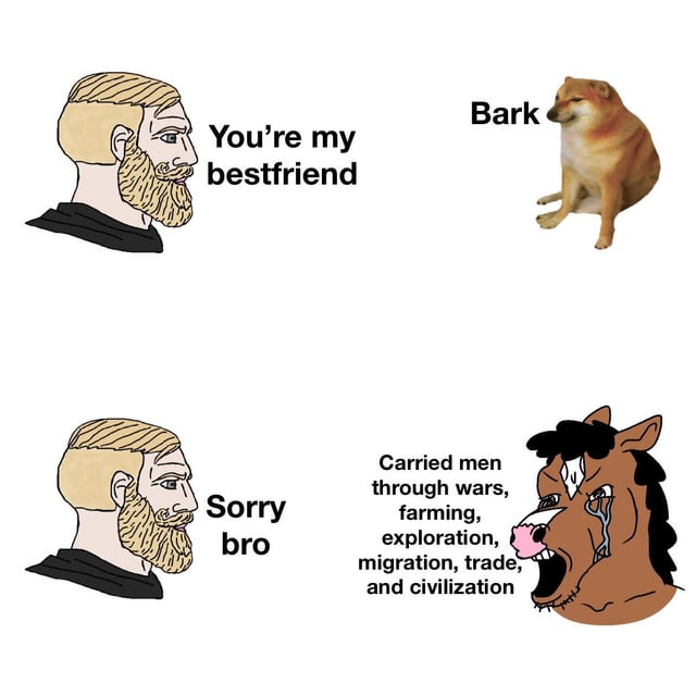 This is a two-panel meme that makes an ironic point about human relationships with working animals versus companion animals. In the top panel, a drawn blonde bearded 'Nordic Chad' meme character affectionately says 'You're my bestfriend' to the Cheems Shiba Inu meme dog, which responds with 'Bark'. In the bottom panel, the same Chad character awkwardly says 'Sorry bro' to a crying, upset cartoon horse, which lists its massive historical contributions to human society: 'Carried men through wars, farming, exploration, migration, trade, and civilization'. The joke highlights the irony that horses provided thousands of years of critical, uncompensated labor to support human progress, but are now far less popular or valued as companion animals compared to dogs.