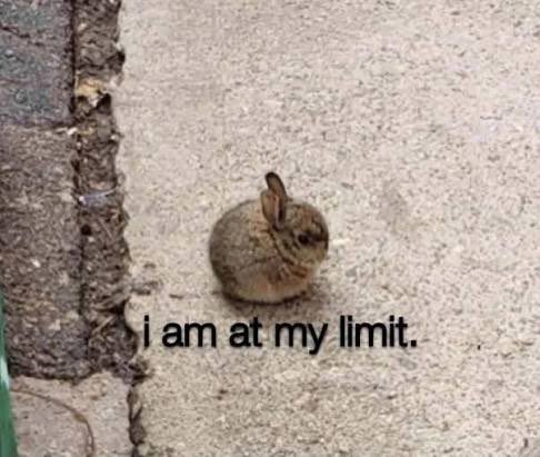 This single-panel reaction meme features an extremely small, round, fluffy baby brown wild rabbit huddled stationary on a rough light grey concrete sidewalk, positioned next to a raised darker stone curb. Black sans-serif text is placed directly below the rabbit reading 'i am at my limit.'. The comedic and relatable effect comes from the juxtaposition of the tiny, innocent, cute baby animal and the exhausted, fed-up, overwhelmed sentiment conveyed by the text, which resonates with audiences experiencing burnout, stress, or frustration from daily pressures.