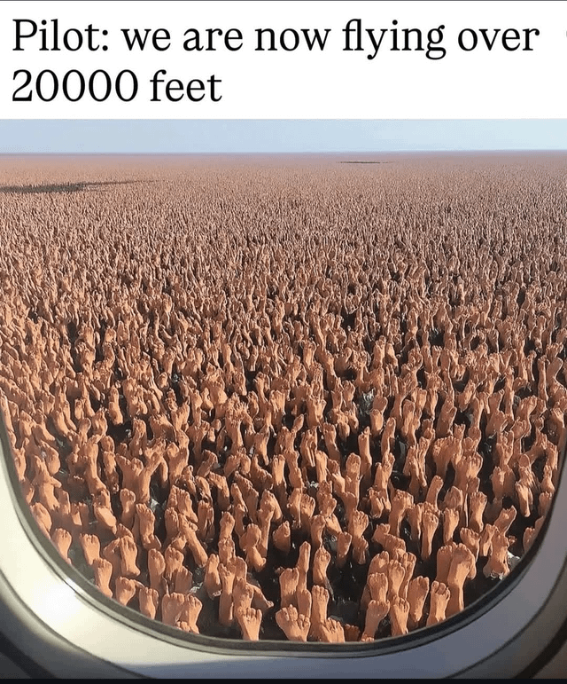 The meme consists of two main elements: a top text box with a pilot's announcement stating, 'Pilot: we are now flying over 20000 feet,' and a lower image showing the view from an airplane window. The view depicts an extremely vast, seemingly infinite expanse of human hands covering the ground below, creating a surreal and absurd contrast between the mundane flight update and the bizarre visual. The hands are densely packed, extending to the horizon, giving the impression of an otherworldly landscape.