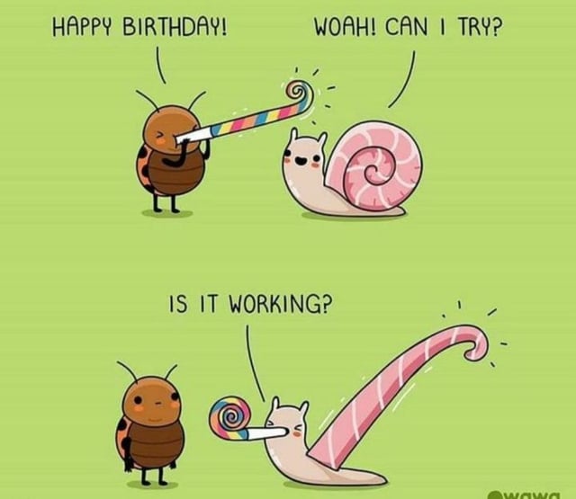 The image is a two-panel comic featuring an anthropomorphic ladybug and snail. In the top panel, the ladybug stands upright holding a small, colorful spiral lollipop and exclaims "HAPPY BIRTHDAY!" with a cheerful expression. The snail, positioned to the right, looks excited and responds, "WOAH! CAN I TRY?" In the bottom panel, the scenario reverses: the ladybug asks, "IS IT WORKING?" while the snail holds an oversized, pink spiral lollipop that dwarfs its body, creating a humorous contrast with the ladybug's smaller lollipop. The background is a solid light green with subtle horizontal lines, keeping focus on the characters and their interaction. The comic conveys a lighthearted, wholesome tone through cute character designs and playful dialogue centered around a birthday celebration.