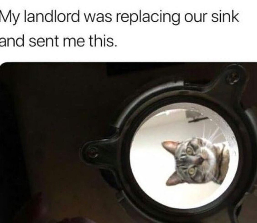 The meme has descriptive text at the top above a candid photograph. The text explains that the poster's landlord, who was in the process of replacing the poster's sink, sent the attached photo to the poster. The photo is shot from the perspective of being positioned under the sink, looking upward through the circular hole of the sink drain. A grey tabby cat is staring directly down through the drain at the camera, with wide curious eyes, appearing to snoop on the repair work happening below its sink.