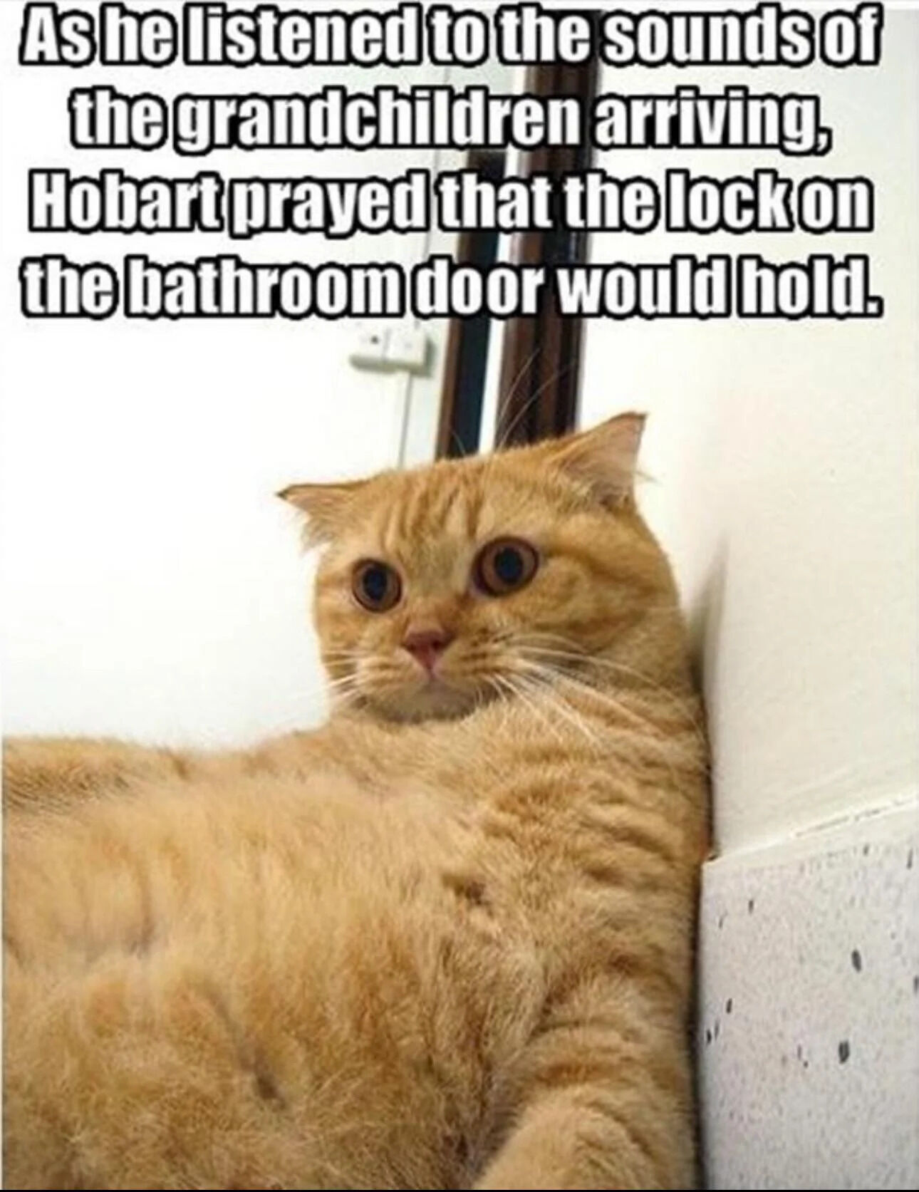A meme featuring a chubby orange cat with wide, anxious eyes lying against a white wall in a domestic indoor setting, likely a bathroom. The cat's posture is tense, with its body pressed against the wall and large, round pupils emphasizing a worried expression. Above the cat, a text overlay reads: 'As he listened to the sounds of the grandchildren arriving, Hobart prayed that the lock on the bathroom door would hold.' The combination of the cat's expressive face and the humorous, relatable narrative of seeking privacy from noisy family members creates a lighthearted, wholesome tone.