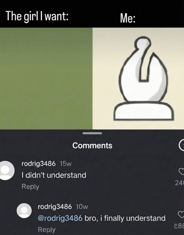 A split-panel meme with the left half labeled 'The girl I want:' (a solid green blank area) and the right half labeled 'Me:' (a simple illustration of a white chess knight). Below the panels is a comments section showing two posts from user 'rodrig3486': the first, posted 15 weeks ago, reads 'I didn't understand'; the second, posted 10 weeks ago (5 weeks later), is a reply to themselves: '@rodrig3486 bro, i finally understand'. The humor lies in the delayed comprehension of the joke, which likely references the chess knight's movement (unpredictable or 'hard to get') as a metaphor for the user's self-perception in relationships.