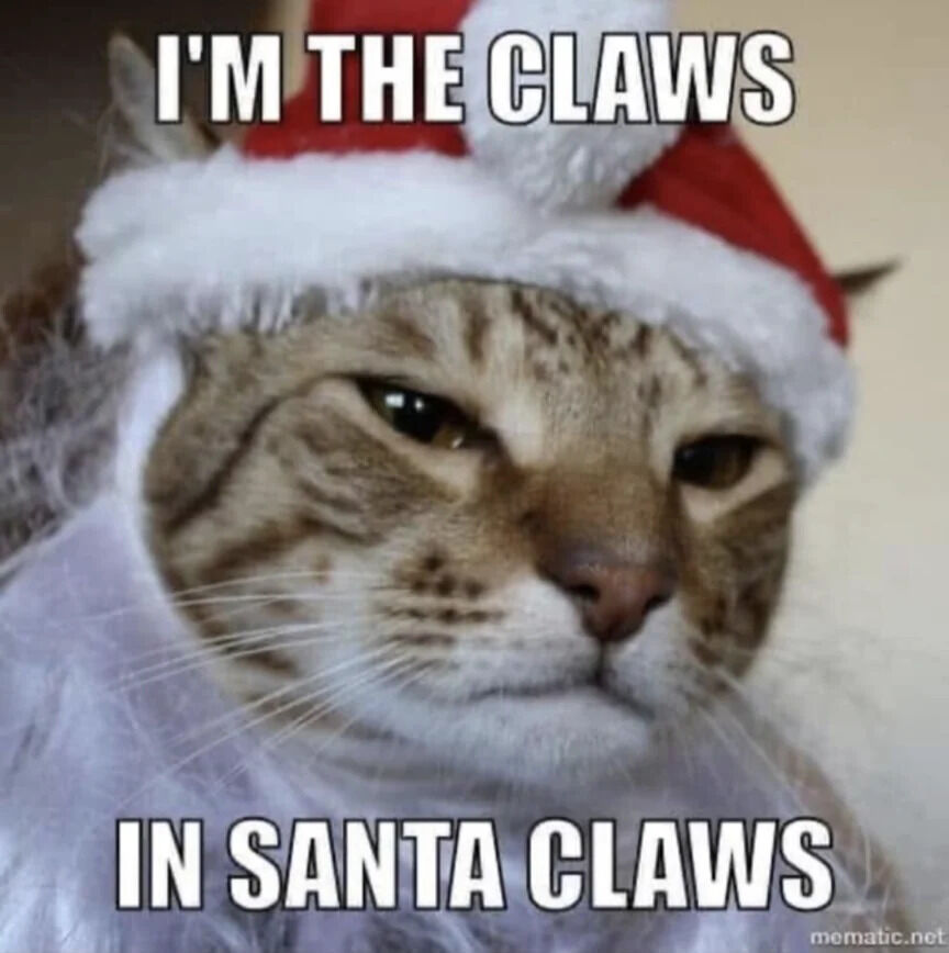 A close-up of a tabby cat wearing a red and white Santa hat. The cat has a calm, slightly indifferent expression with half-open eyes. Bold white text above the cat reads 'I'M THE CLAWS' and below reads 'IN SANTA CLAWS', creating a pun on 'Santa Claus' by referencing the cat's claws. The plain neutral background keeps focus on the cat and text. A 'mematic.net' watermark is in the bottom right, indicating creation with the Mematic app.