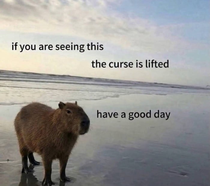 The image features a real capybara (referred to as the 'beach rodent' in the original title) standing on wet, shallow beach shoreline sand, with a soft pastel-toned sky at sunrise or sunset and gentle ocean waves in the background. Overlaid black text spread across the image reads: 'if you are seeing this', 'the curse is lifted', and 'have a good day', presenting the calm, widely beloved capybara as a lucky charm that removes bad luck and wishes well to anyone who views the meme.