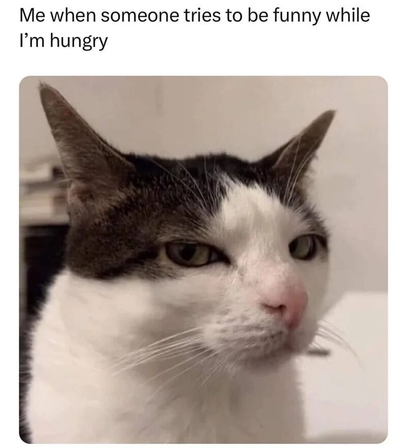 A meme featuring a close-up photograph of a black and white cat with a noticeably unamused, slightly irritated expression. The cat has green eyes, perked ears, and a pink nose. Above the cat, there is a text overlay that reads: 'Me when someone tries to be funny while I’m hungry'. The background is a plain, light-colored wall with some indistinct objects partially visible, likely in a home setting. The cat’s expression humorously conveys frustration or annoyance, aligning with the text to depict the relatable scenario of being irritable when hungry and unappreciative of attempts at humor.