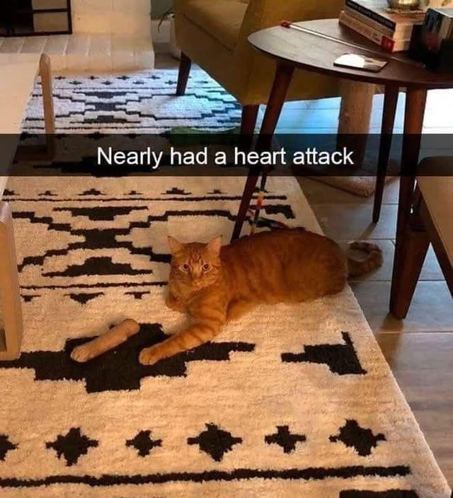 This meme uses an optical illusion to create a humorous shocking effect. It shows an orange tabby cat lying on a black-and-white geometric patterned rug in a typical living room. A light-colored, leg-shaped element of the rug's design is positioned directly next to the cat's real front paw, making it look at first glance like the cat's leg has been cut off. The overlaid text on the image reads "Nearly had a heart attack", describing the poster's initial frightened reaction before they realized the "severed leg" was just part of the rug. The original title includes a cat pun: "pawse" is a play on the word "pause", referencing the cat's paws and the split-second pause the poster took when they saw the illusion.