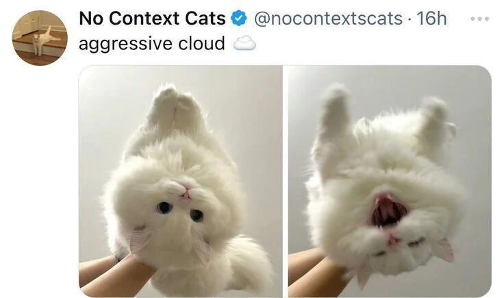 A screenshot of a tweet from the account 'No Context Cats' (@nocontextscats) featuring two side-by-side images of a small, fluffy white cat being held by a person's hands. The left image shows the cat lying on its back with a calm expression, large blue eyes, and a pink nose. The right image shows the same cat in a similar position but with its mouth open wide, appearing to meow or 'yell,' giving a playful 'aggressive' look. The tweet's text reads 'aggressive cloud' with a cloud emoji ☁️, likely referencing the cat's fluffy, cloud-like fur and its contrasting calm vs. playful/aggressive expressions.