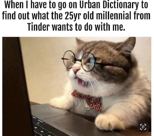 This is a relatable humor meme that jokes about the experience of being confused by modern dating slang when talking to a younger match on the dating app Tinder. The meme uses an image of a real cat wearing round glasses and a red patterned bow tie, positioned in front of a laptop looking intently at the screen with a slightly open-mouthed confused expression, to represent the person who needs to look up the meaning of the younger person's slang on Urban Dictionary, a website that crowdsources definitions for new modern slang terms. The joke plays on the generational gap in informal language, with the implication that the slang term in question could be sexually suggestive or unexpected, leaving the user confused enough that they need to look it up before responding.