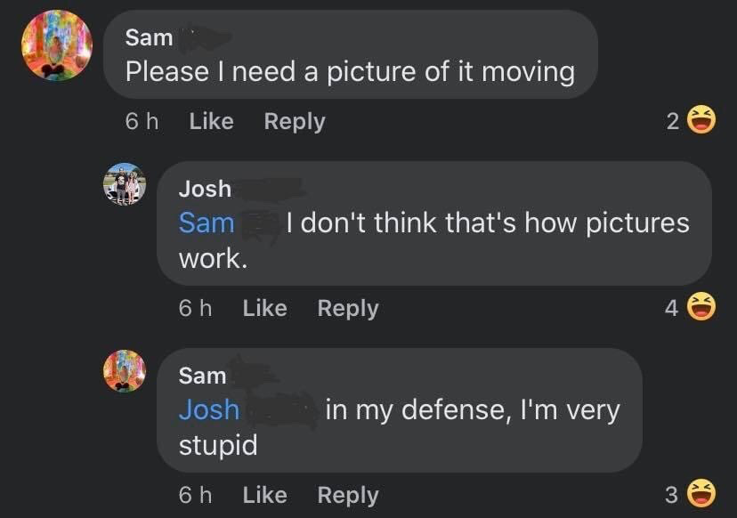 This is a screenshot of a public social media comment exchange. The first comment from user Sam reads 'Please I need a picture of it moving', requesting a still image that depicts motion. A second user Josh replies to Sam, pointing out 'I don't think that's how pictures work', referencing the fact that standard static images cannot display movement. Sam then replies to Josh with the self-deprecating line 'in my defense, I'm very stupid', owning his obvious mistake. Each comment has laughing face reactions from other users, highlighting the lighthearted humorous tone of the exchange.