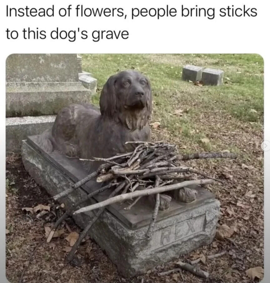 An image featuring a stone statue of a dog named 'REX' lying on a grave in a grassy cemetery. The grave has a pile of sticks placed on it, replacing traditional flowers. The top text reads, 'Instead of flowers, people bring sticks to this dog's grave,' highlighting the heartfelt gesture of remembering the dog with items it likely enjoyed during its life (sticks for playing fetch). The background shows other gravestones and a grassy, slightly leaf-strewn area, emphasizing a peaceful cemetery setting.