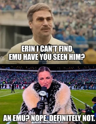 A two-panel meme set in a sports stadium. The top panel shows a male character with a concerned expression, looking around, and asking, "ERIN I CAN'T FIND EMU HAVE YOU SEEN HIM?" The bottom panel features a female reporter holding a microphone, wearing a fur coat, and responding dismissively with, "AN EMU? NOPE: DEFINITELY NOT." Both panels use real-person imagery, likely edited from Liberty Mutual insurance commercials featuring the Limu Emu mascot.