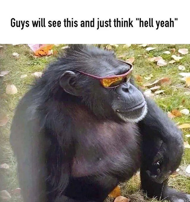 This meme consists of two parts: top text reads 'Guys will see this and just think "hell yeah"', followed by a photograph of a large chimpanzee sitting on grass covered with scattered dry autumn leaves. The chimp is wearing stylish wrap-around sunglasses with amber tinted lenses, leaning back in a relaxed, suave, confident posture, looking off to the side like a cool laid-back character. The joke relies on the common cultural trope that men are easily amused by absurdly cool, silly, or unapologetically awesome things like a chimpanzee pulling off a cool sunglasses look.