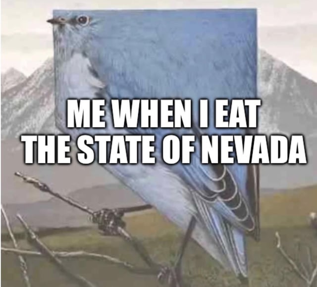 This is an absurd, humorous meme that uses a forced perspective optical illusion for comedic effect. The image edits a bird illustration so its body is perfectly aligned to match the outline shape of the U.S. state of Nevada, set against a generic mountainous background that evokes Nevada's landscape. Overlaid bold white text reads "ME WHEN I EAT THE STATE OF NEVADA", framing the bird's state-shaped body as the result of it consuming the entire state. The joke relies on a visual pun: the bird's form mimicking Nevada's geographic outline paired with the ridiculous, over-the-top concept of an animal eating an entire U.S. state, creating a silly, surreal gag.