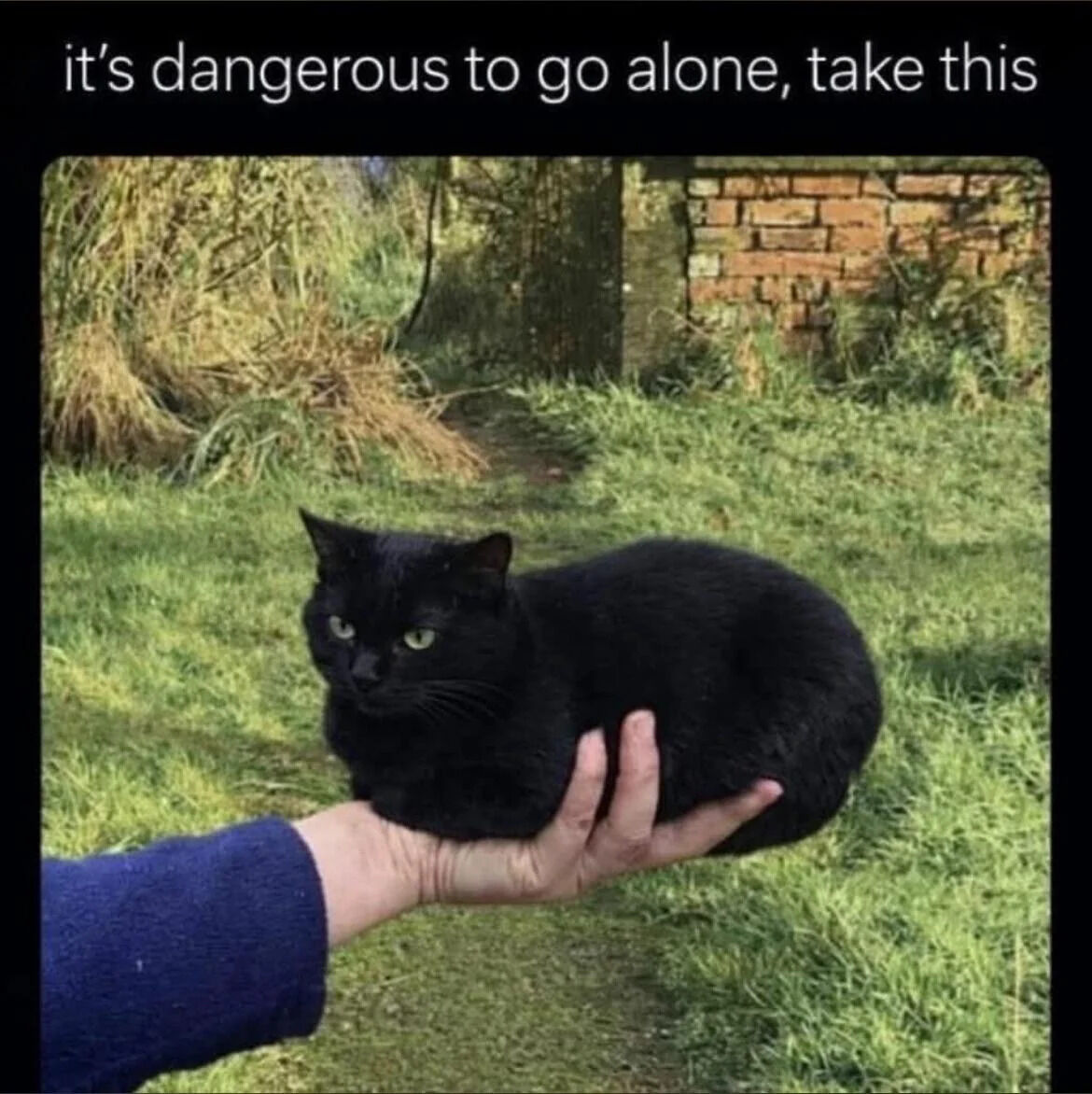A heartwarming meme featuring a black cat with striking green eyes being gently held in a person's hand. The outdoor setting includes green grass, tall weeds, and a brick wall in the background. At the top of the image, white text displays the iconic quote 'it's dangerous to go alone, take this,' referencing The Legend of Zelda video game. The cat's calm yet alert expression, paired with the quote, humorously positions the cat as a comforting companion offered to someone embarking on a journey.