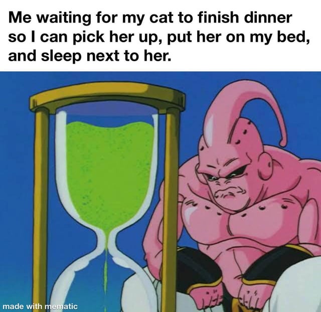 This single panel meme combines relatable pet owner text with a classic anime reaction screenshot. The top of the image has text that reads: "Me waiting for my cat to finish dinner so I can pick her up, put her on my bed, and sleep next to her." Below the text is a shot of Super Buu from the anime Dragon Ball Z, sitting hunched over and staring impatiently at a large hourglass slowly draining green sand, a scene originally depicting Buu waiting impatiently for a fight. The joke exaggerates the relatable feeling of eager, impatient anticipation many cat owners feel when waiting for their cat to finish eating so they can go to bed cuddling their pet, comparing this mundane domestic wait to Buu's over-the-top impatient wait for combat.