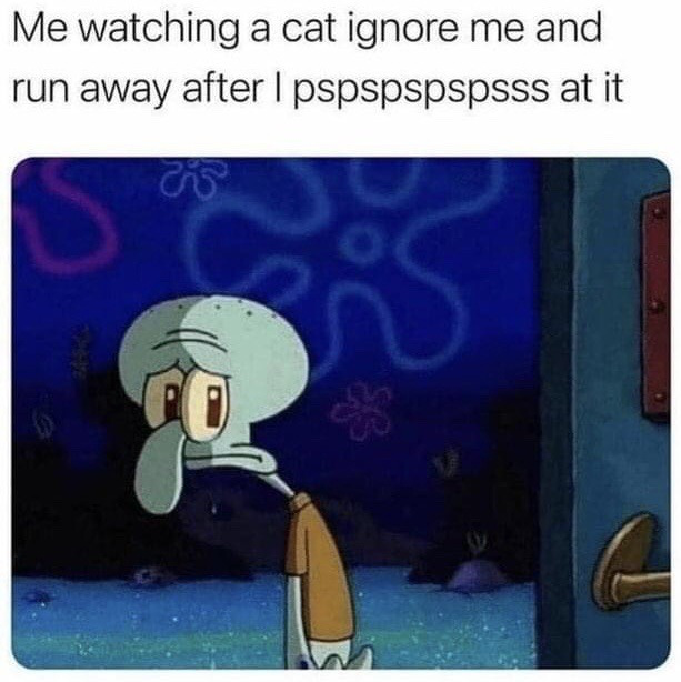 This meme consists of a top text caption paired with a screenshot of Squidward from SpongeBob SquarePants. The text reads 'Me watching a cat ignore me and run away after I pspspspspssss at it', while the image shows Squidward looking extremely disappointed and defeated. The meme humorously depicts the very relatable letdown cat owners or cat lovers feel when they attempt to summon a cat using the common 'pspsps' sound, only to be completely ignored as the cat runs away.