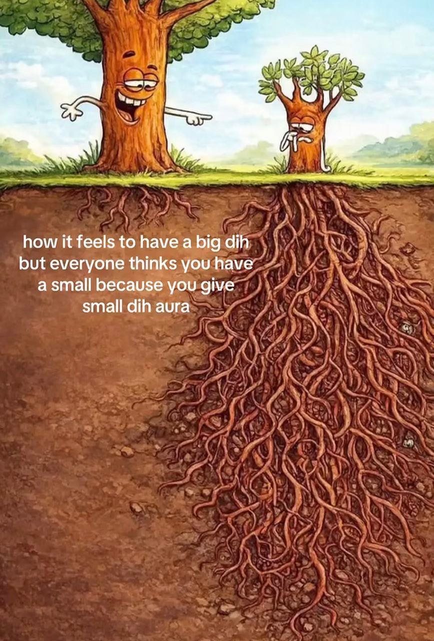 This meme features two anthropomorphic trees above ground: a large full-grown tree grins and mockingly points at a smaller tree standing next to it. Below the soil, the visual joke is revealed: the large tree only has small, shallow roots, while the smaller above-ground tree has an enormous, sprawling, extensive root system. Overlaid text reads "how it feels to have a big dih but everyone thinks you have a small because you give small dih aura", where "dih" is a censored alternate spelling of "dick", making a sexual pun where hidden root size represents actual penis size. The joke describes the experience of having a large penis but giving off an unassuming "aura" that leads others to incorrectly assume you are smaller endowed.