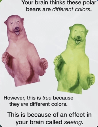This is an anti-humor meme that parodies common viral optical illusion posts. The image displays two photos of polar bears, one recolored pink and the other recolored green, standing upright with raised paws against a plain white background. It opens with text that mimics the format of popular illusion posts, stating 'Your brain thinks these polar bears are different colors', which sets up the expectation that this is a trick where the bears are actually the same color despite looking different. The punchline subverts this expectation entirely, confirming that your brain is correct: the bears really are different colors, and jokes that this is caused by a brain effect called 'seeing', poking fun at overhyped viral optical illusion content.