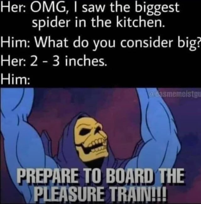 The meme consists of two main parts: a text dialogue section at the top and an image section below. The dialogue reads: 'Her: OMG, I saw the biggest spider in the kitchen. Him: What do you consider big? Her: 2 - 3 inches. Him:' followed by an image of a muscular, blue-skinned skeleton character with a menacing grin, wearing a hood, and raising his arms triumphantly. The character has text overlay: 'PREPARE TO BOARD THE PLEASURE TRAIN!!!'. The humor stems from a double entendre where 'Him' misinterprets '2 - 3 inches' (referring to spider size) as a suggestive comment, leading to an exaggerated, suggestive reaction.