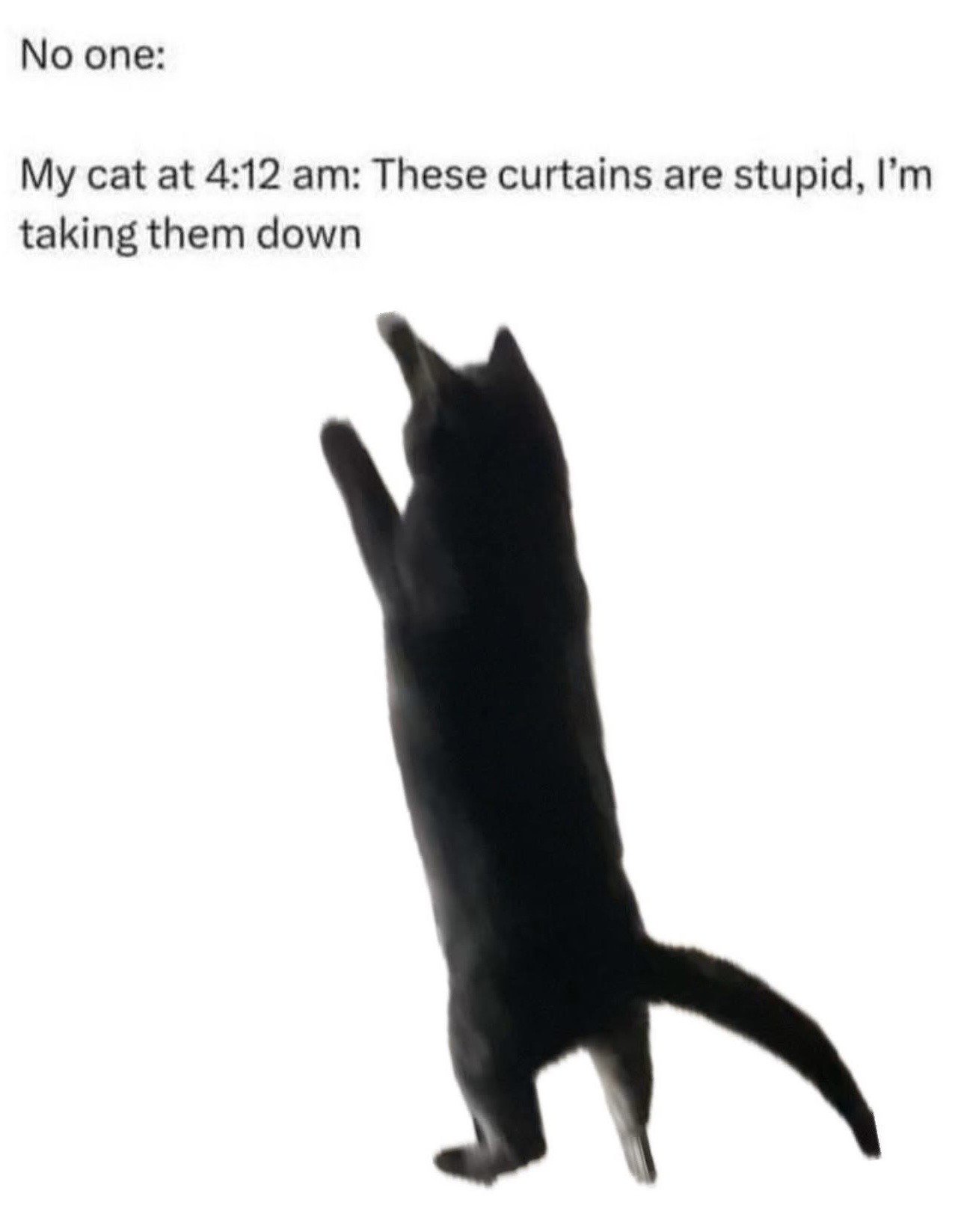 This relatable pet meme uses the common 'no one' setup to joke about the erratic, disruptive behavior domestic cats often exhibit in the middle of the night. The text at the top first states 'No one:' to emphasize that no provocation occurred, followed by the line 'My cat at 4:12 am: These curtains are stupid, I'm taking them down'. Below the text is a blurry dark silhouette of a black cat standing on its hind legs with its front paws raised high, appearing as if it is about to jump up and claw at curtains just outside of the frame, perfectly matching the chaotic behavior described in the text.