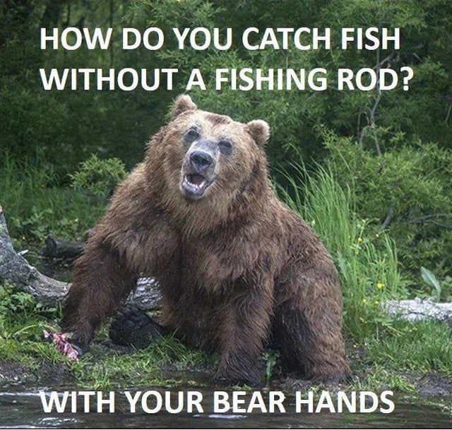 A meme featuring a brown bear sitting near a body of water, likely a river or stream. The bear appears wet, suggesting it has been in the water, with its front paws on the ground and mouth slightly open. The top text reads 'HOW DO YOU CATCH FISH WITHOUT A FISHING ROD?' and the bottom text provides the punchline: 'WITH YOUR BEAR HANDS', a pun on 'bare hands' (using hands without tools) replaced with 'bear' to reference the bear in the image. The background includes green foliage and grass, indicating a natural outdoor setting.