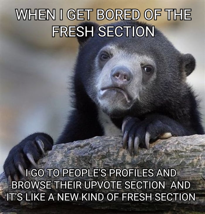 The image features a real black bear with a contemplative, slightly bored expression, leaning on a rough wooden log with its paws resting on the wood. Overlaid text appears in two blocks: the top text reads 'WHEN I GET BORED OF THE FRESH SECTION' and the bottom text states 'I GO TO PEOPLE'S PROFILES AND BROWSE THEIR UPVOTE SECTION AND IT'S LIKE A NEW KIND OF FRESH SECTION'. The meme humorously depicts the behavior of social media users who, tired of the main 'fresh' content feed, explore others' upvoted posts as an alternative source of engaging content, framing it as a 'new kind of fresh section'.