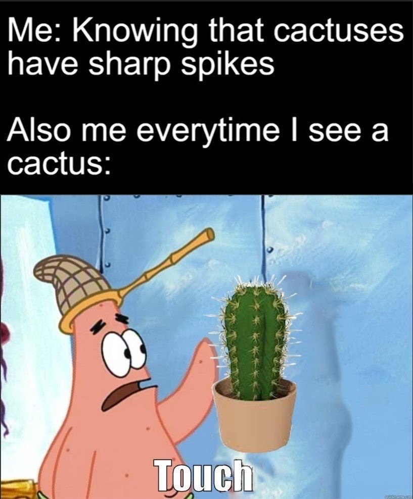 The meme is split into text sections on a black top bar, followed by an edited cartoon image. The top text reads 'Me: Knowing that cactuses have sharp spikes', then the next line reads 'Also me everytime I see a cactus:'. Below this, an edited screenshot of Patrick Star from Spongebob Squarepants wearing a jellyfishing hat is shown reaching his hand out toward a potted cactus with obvious sharp spikes, with the single word 'Touch' overlaid at the bottom of the image. The joke highlights the common relatable human impulse to do things that a person logically knows will cause them harm or pain, just out of curiosity or spontaneous urge.